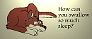 How can you swallow so much sleep?