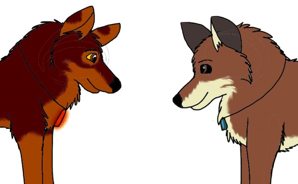 Koko & Skye