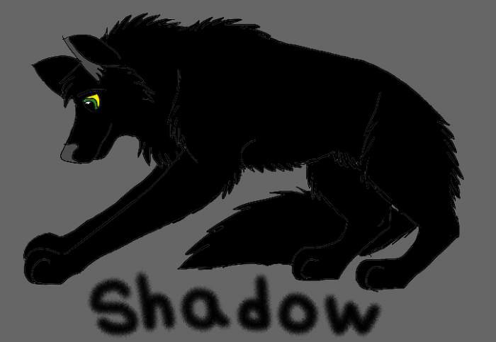 Shadow Drawing