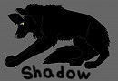 Shadow Drawing