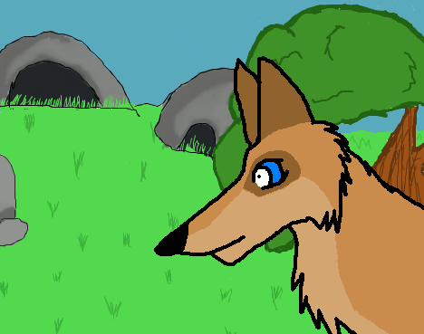 Animation