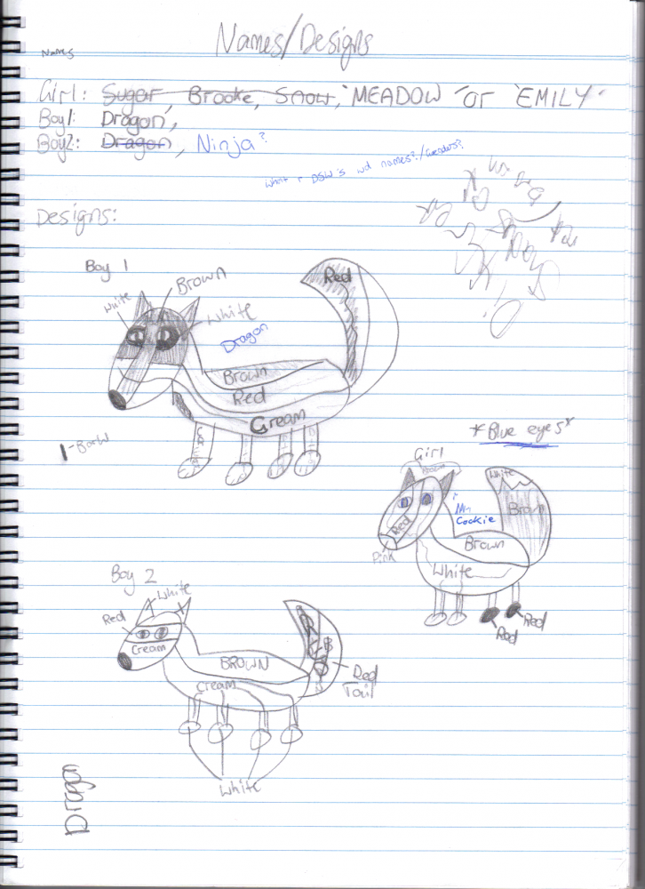 How I designed my half of the pups