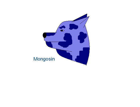 Mongosin the Husky