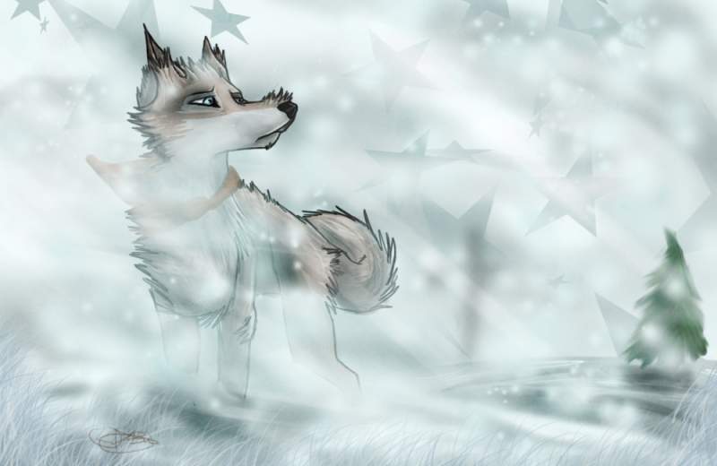 BALTO