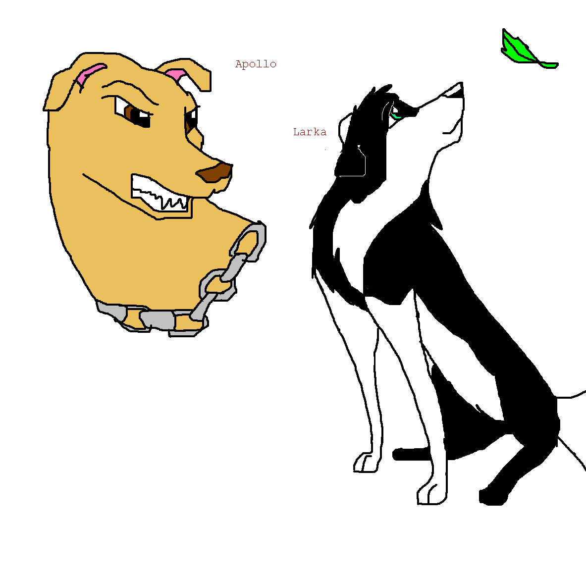 Larka and Apollo