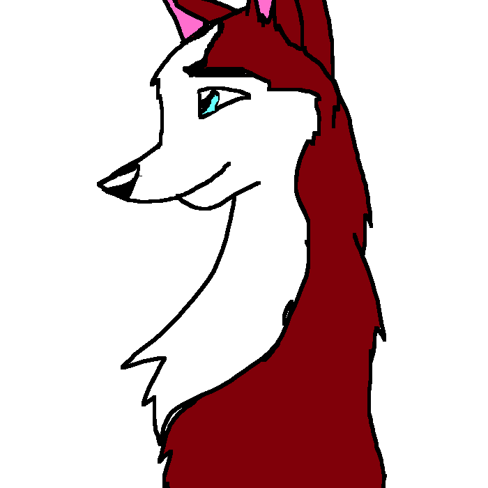 Dingo.. XD