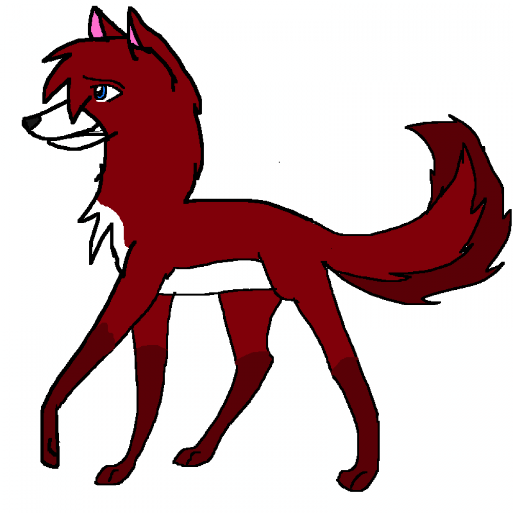 Kodi and Dusty's Daughter Ash