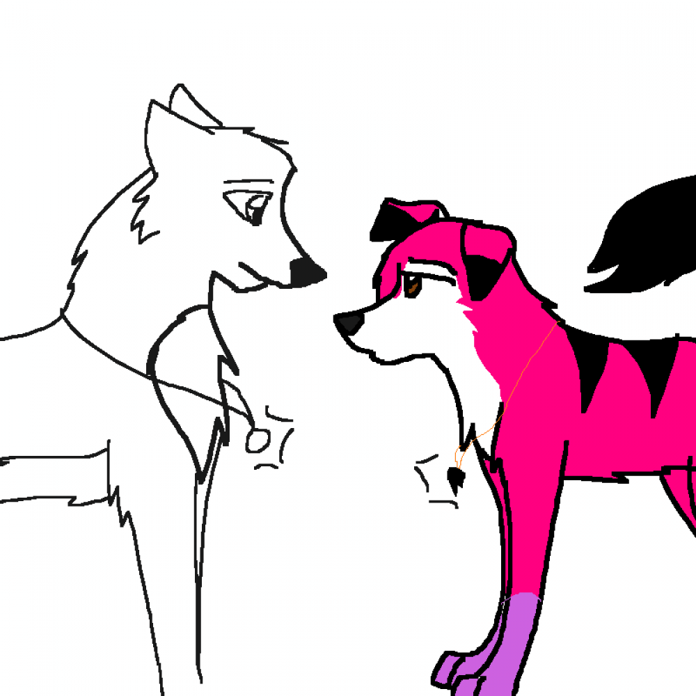 Do you really understand(unfinished)