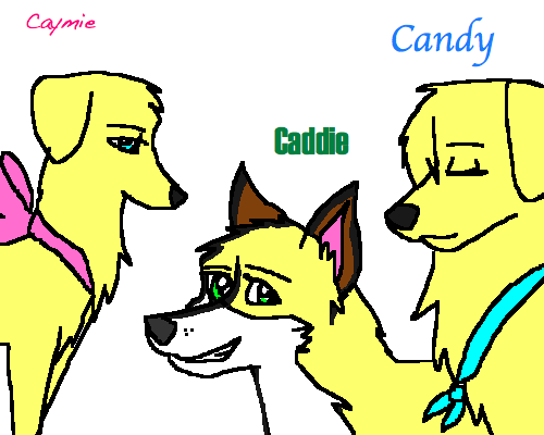 Candy and her siblings