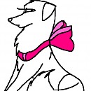 Caymie