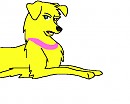 Caymie again^^