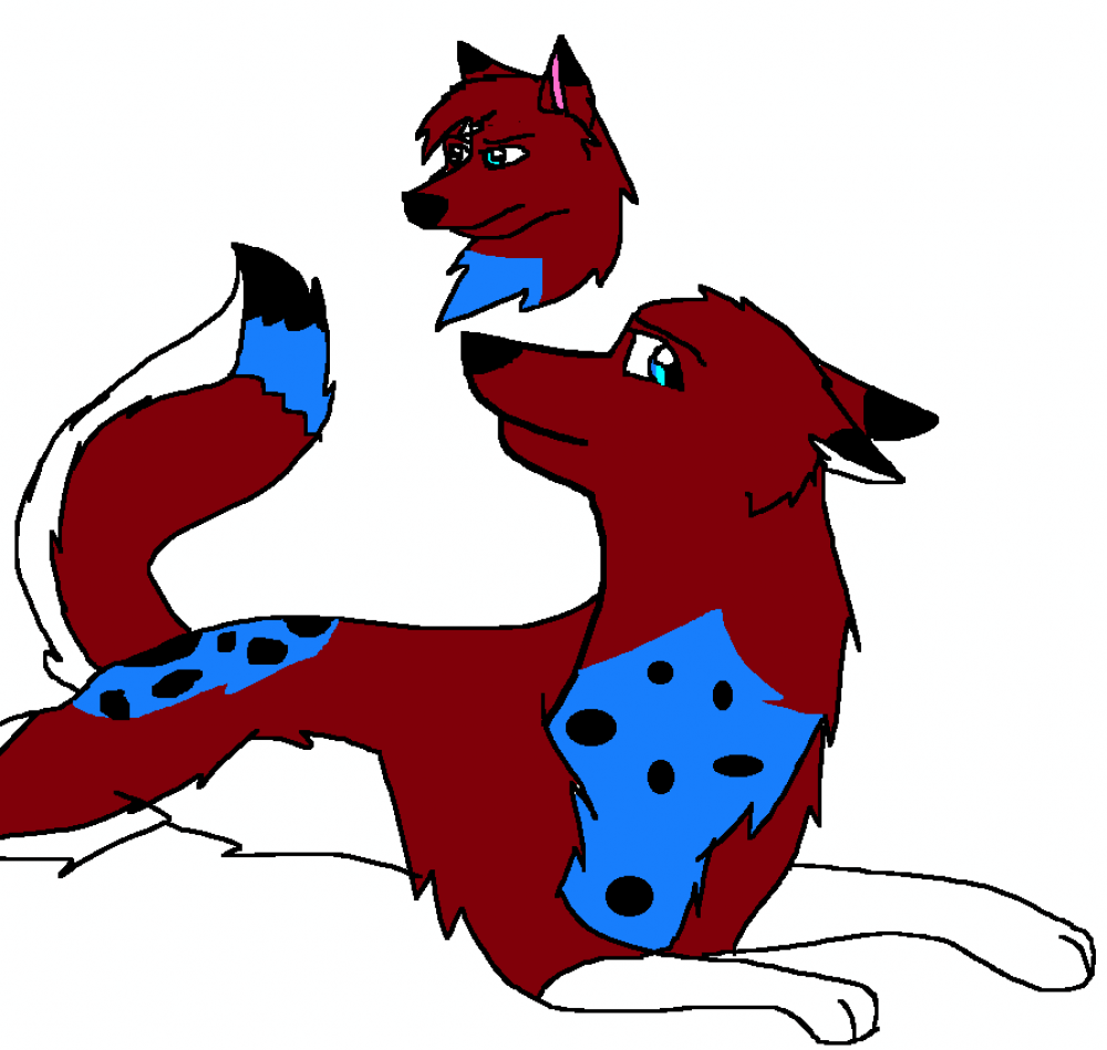 CONOR COLORED c: