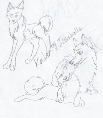 Kaden and Issabella ^^and a random wolf