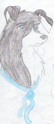 Old pic of Sky <3