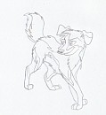 Jackson and Lassie's son Spector
