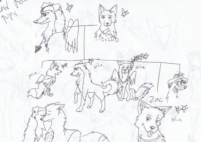 reference pictures