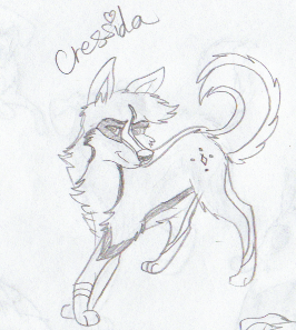 SpectorxSalome baby 8D