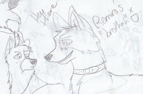 Veil has an admirer xD