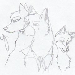 Sibs