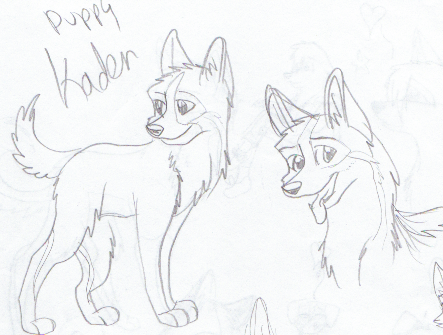 Squeee X3
