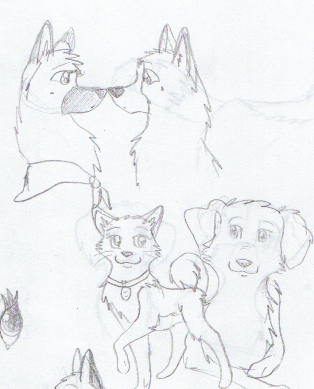 Buck, Veil, Nudge and a cat