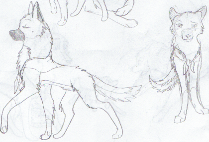 Veil doodles