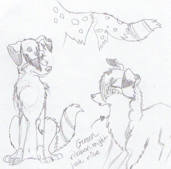 Alley: The pup I'm trying to adopt O3o