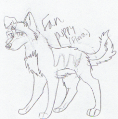 Flora: A Future puppy? x3