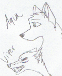 Aqua and Viper 