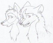 Dusty and Kodiness