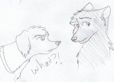 Nudge and Drake