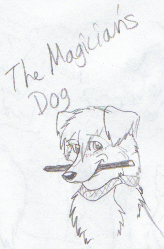 FIc Cover