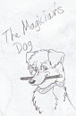 FIc Cover