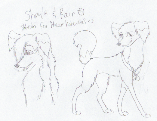 Sketch/Gifteh for Meerkatcutie ^^