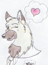 Veil winks