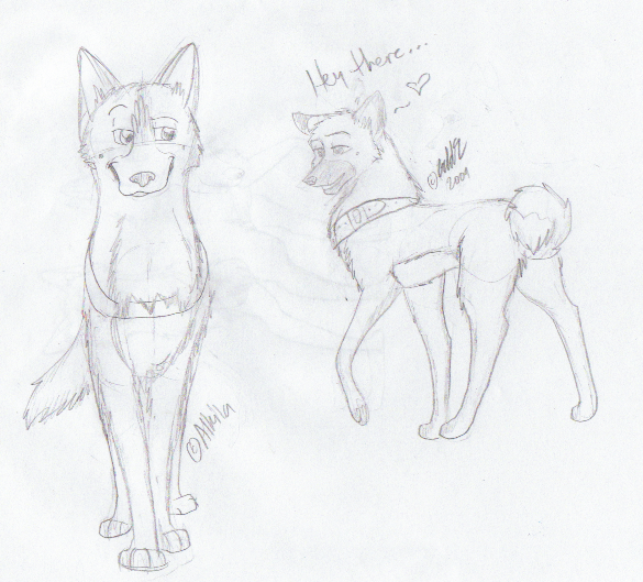 Sketch for Alkila