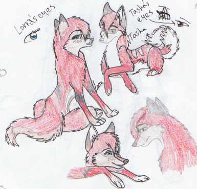 colored this time