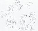 Alaki doodles ^^