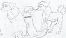 Kodi x Dusty doodles