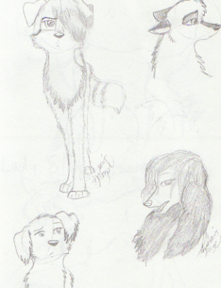 Sketch book