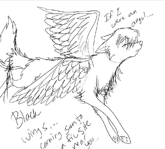Tabdooz-Hoorie with wings 8O!!
