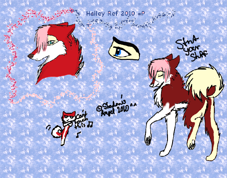 Tablet-Hailey ref 2010