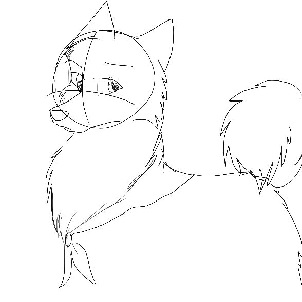 Veil is not amused T.T