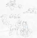 Doodles :3