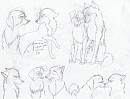 Moar couples 8D