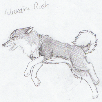 Adrenaline Rush