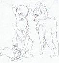 Doodles of Ally I dug up
