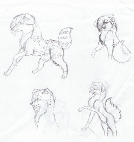 Ally doodles <3