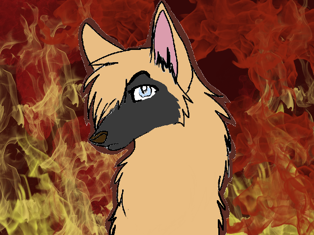 FFFF something for Meery :3