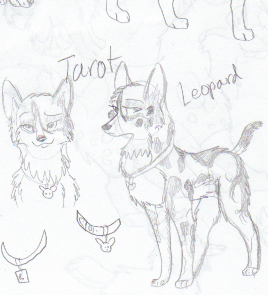 New character- Tarot
